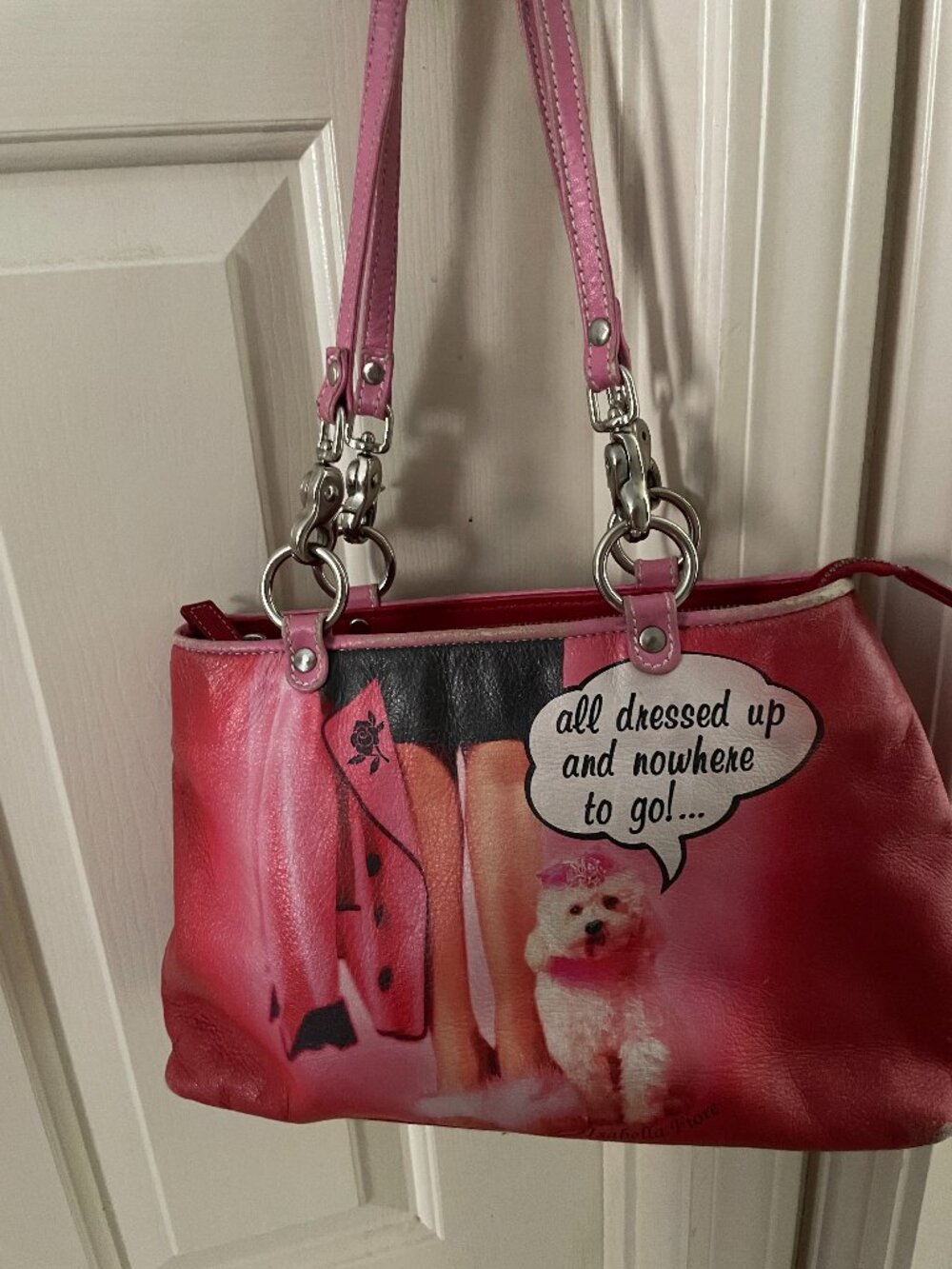 ISABELLA FIORE LEATHER BAG